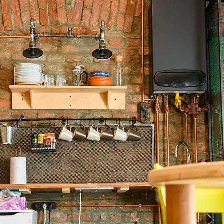 Apartment Studio V - Industrial & Original - Old Town Cluj-Napoca